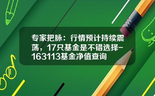 专家把脉：行情预计持续震荡，17只基金是不错选择-163113基金净值查询
