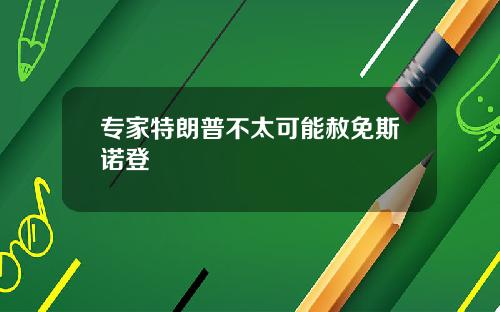 专家特朗普不太可能赦免斯诺登