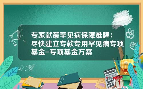 专家献策罕见病保障难题：尽快建立专款专用罕见病专项基金-专项基金方案
