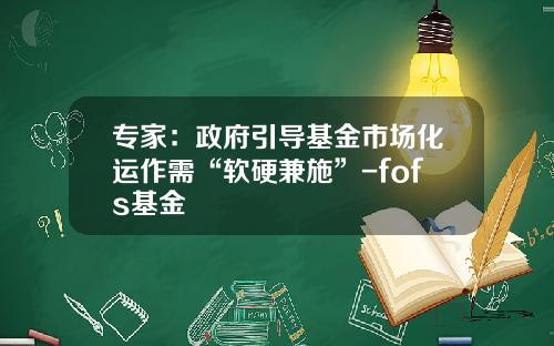 专家：政府引导基金市场化运作需“软硬兼施”-fofs基金