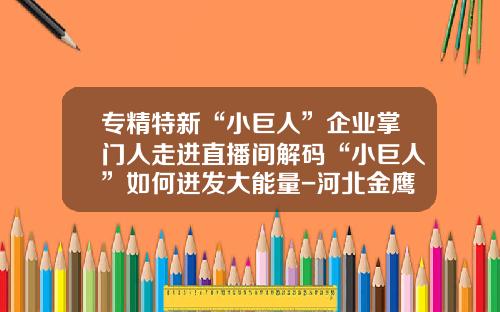 专精特新“小巨人”企业掌门人走进直播间解码“小巨人”如何迸发大能量-河北金鹰食品有限公司