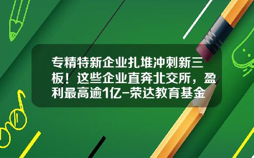 专精特新企业扎堆冲刺新三板！这些企业直奔北交所，盈利最高逾1亿-荣达教育基金