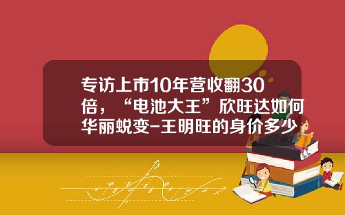 专访上市10年营收翻30倍，“电池大王”欣旺达如何华丽蜕变-王明旺的身价多少