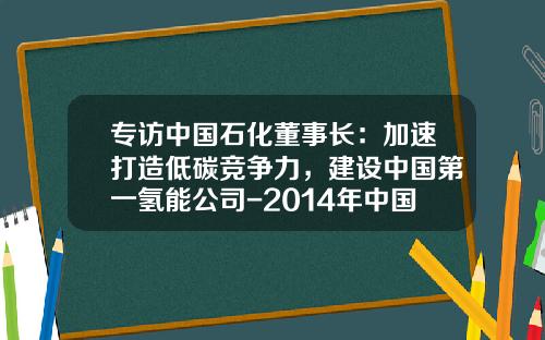 专访中国石化董事长：加速打造低碳竞争力，建设中国第一氢能公司-2014年中国绿公司