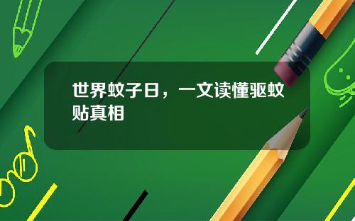 世界蚊子日，一文读懂驱蚊贴真相
