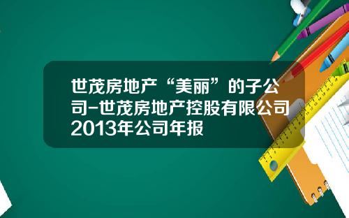 世茂房地产“美丽”的子公司-世茂房地产控股有限公司2013年公司年报