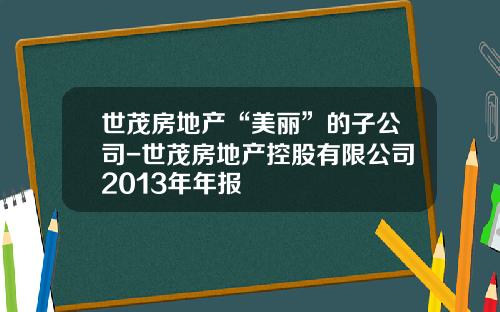 世茂房地产“美丽”的子公司-世茂房地产控股有限公司2013年年报