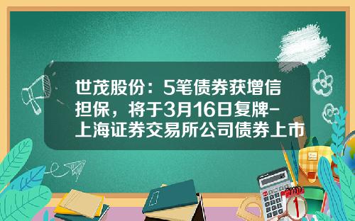 世茂股份：5笔债券获增信担保，将于3月16日复牌-上海证券交易所公司债券上市规则