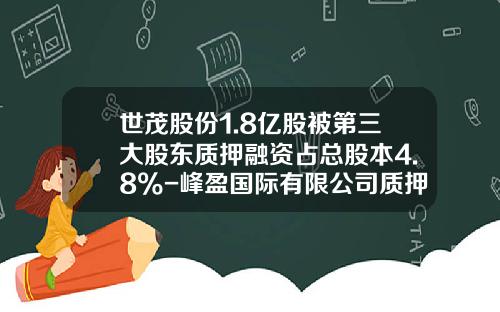 世茂股份1.8亿股被第三大股东质押融资占总股本4.8%-峰盈国际有限公司质押