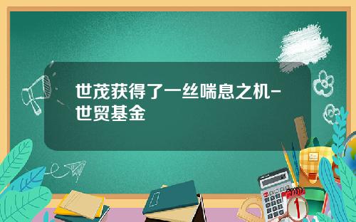 世茂获得了一丝喘息之机-世贸基金