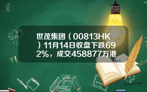 世茂集团（00813HK）11月14日收盘下跌692%，成交458877万港元