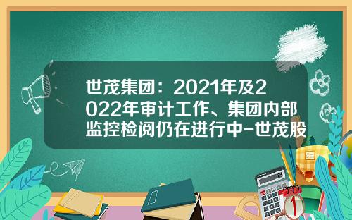 世茂集团：2021年及2022年审计工作、集团内部监控检阅仍在进行中-世茂股份公司规定