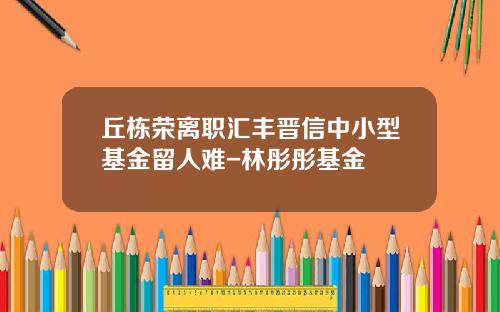 丘栋荣离职汇丰晋信中小型基金留人难-林彤彤基金