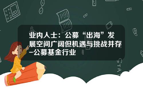 业内人士：公募“出海”发展空间广阔但机遇与挑战并存-公募基金行业