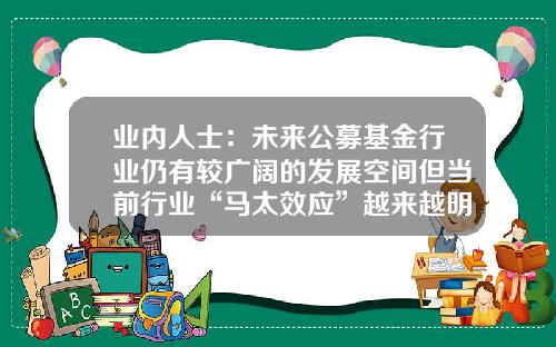 业内人士：未来公募基金行业仍有较广阔的发展空间但当前行业“马太效应”越来越明显-什么是公募基金