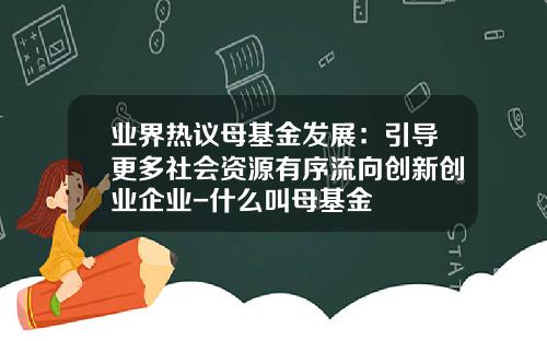 业界热议母基金发展：引导更多社会资源有序流向创新创业企业-什么叫母基金