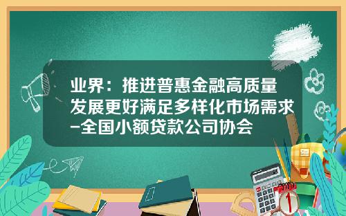 业界：推进普惠金融高质量发展更好满足多样化市场需求-全国小额贷款公司协会