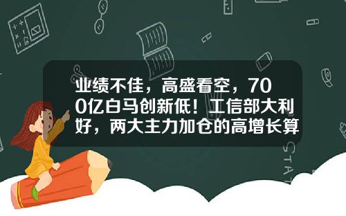 业绩不佳，高盛看空，700亿白马创新低！工信部大利好，两大主力加仓的高增长算力概念股出炉-股市资讯有推荐股票