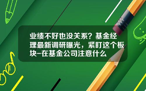 业绩不好也没关系？基金经理最新调研曝光，紧盯这个板块-在基金公司注意什么