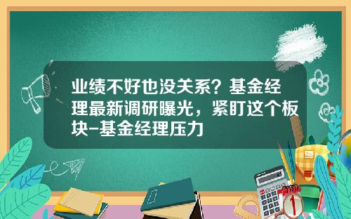 业绩不好也没关系？基金经理最新调研曝光，紧盯这个板块-基金经理压力