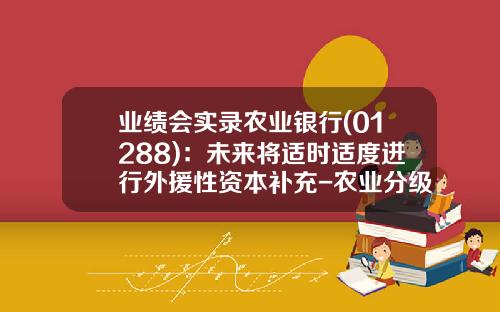 业绩会实录农业银行(01288)：未来将适时适度进行外援性资本补充-农业分级基金
