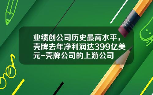 业绩创公司历史最高水平，壳牌去年净利润达399亿美元-壳牌公司的上游公司
