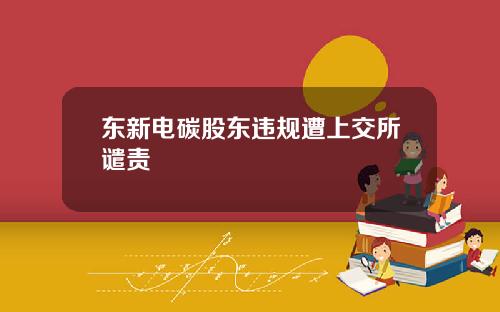 东新电碳股东违规遭上交所谴责