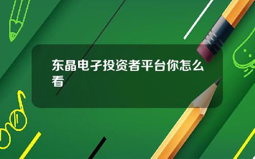 东晶电孑投资者平台你怎么看
