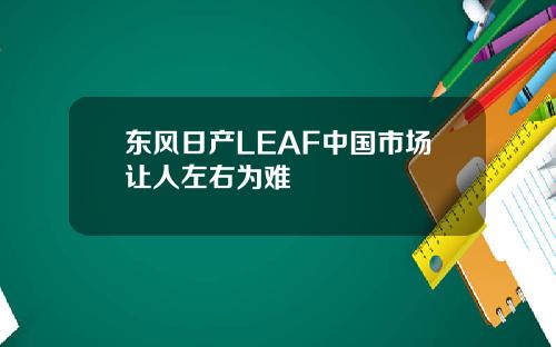 东风日产LEAF中国市场让人左右为难