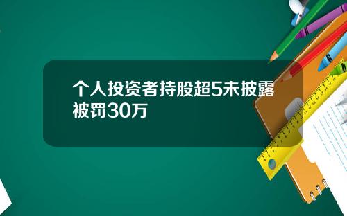 个人投资者持股超5未披露被罚30万