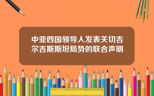 中亚四国领导人发表关切吉尔吉斯斯坦局势的联合声明
