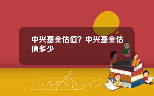 中兴基金估值？中兴基金估值多少