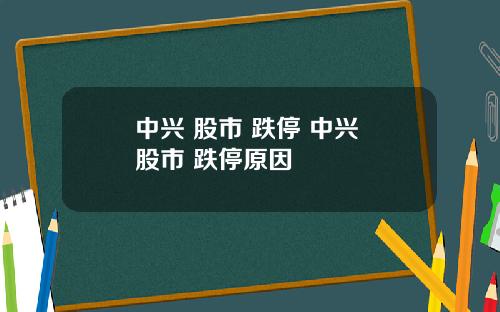 中兴 股市 跌停 中兴 股市 跌停原因
