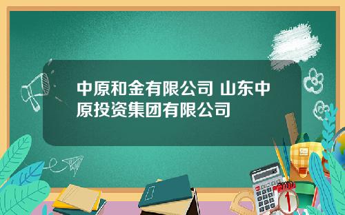 中原和金有限公司 山东中原投资集团有限公司