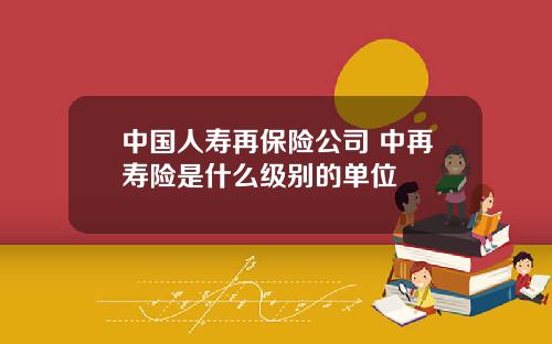 中国人寿再保险公司 中再寿险是什么级别的单位