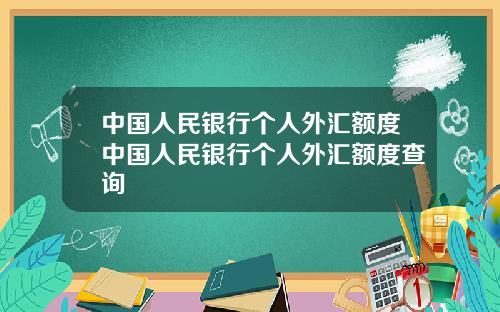 中国人民银行个人外汇额度中国人民银行个人外汇额度查询