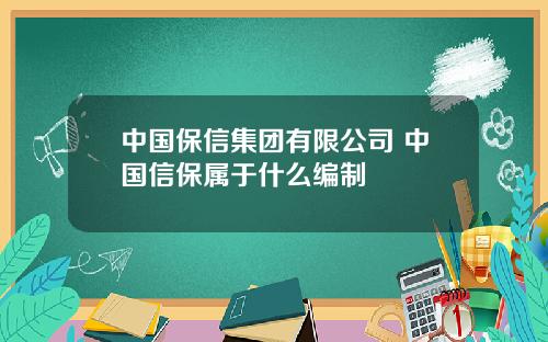 中国保信集团有限公司 中国信保属于什么编制