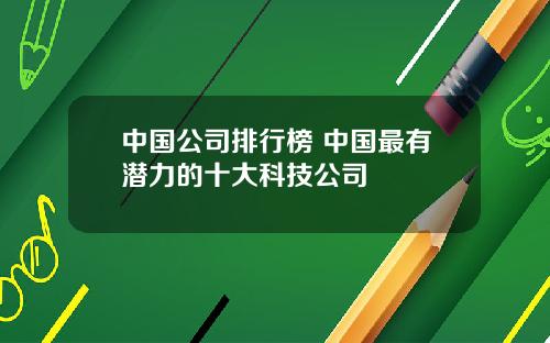 中国公司排行榜 中国最有潜力的十大科技公司
