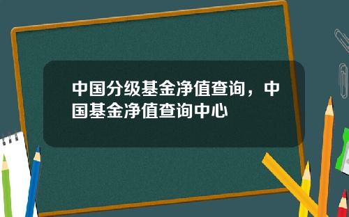 中国分级基金净值查询，中国基金净值查询中心