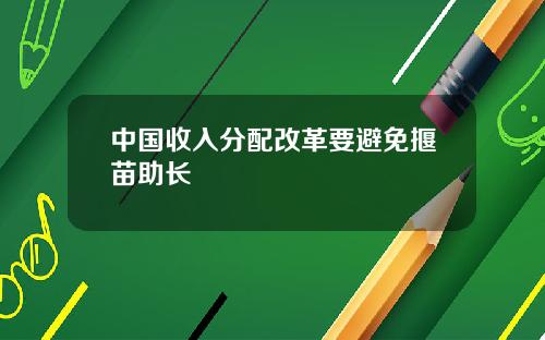 中国收入分配改革要避免揠苗助长