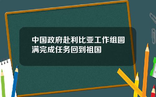 中国政府赴利比亚工作组圆满完成任务回到祖国