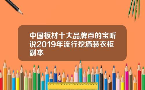 中国板材十大品牌百的宝听说2019年流行挖墙装衣柜副本