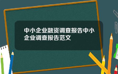 中小企业融资调查报告中小企业调查报告范文
