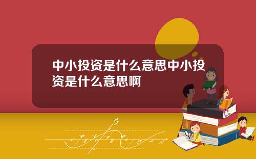 中小投资是什么意思中小投资是什么意思啊