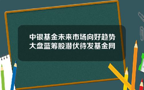 中银基金未来市场向好趋势大盘蓝筹股潜伏待发基金网