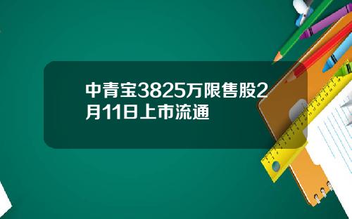 中青宝3825万限售股2月11日上市流通