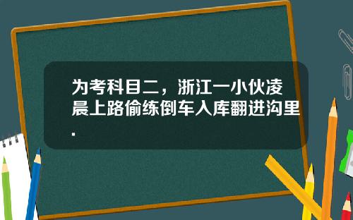 为考科目二，浙江一小伙凌晨上路偷练倒车入库翻进沟里.