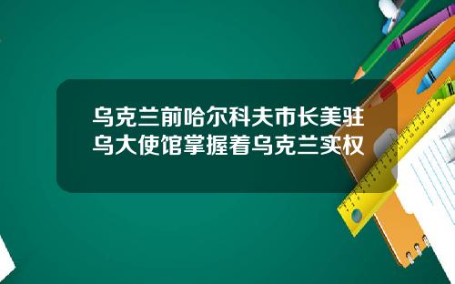 乌克兰前哈尔科夫市长美驻乌大使馆掌握着乌克兰实权