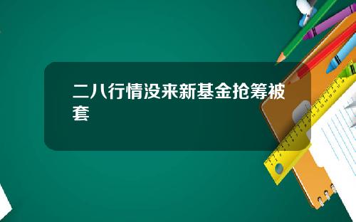 二八行情没来新基金抢筹被套