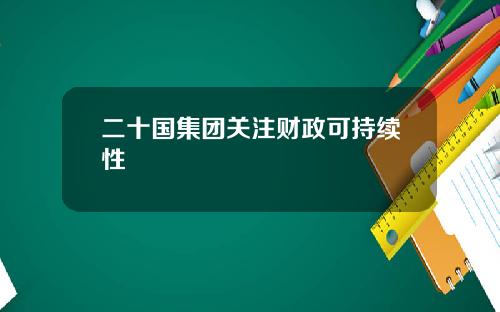 二十国集团关注财政可持续性